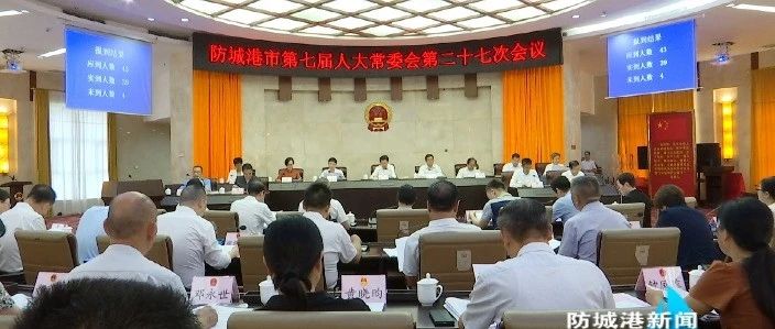 洋浦最新人事任免动态