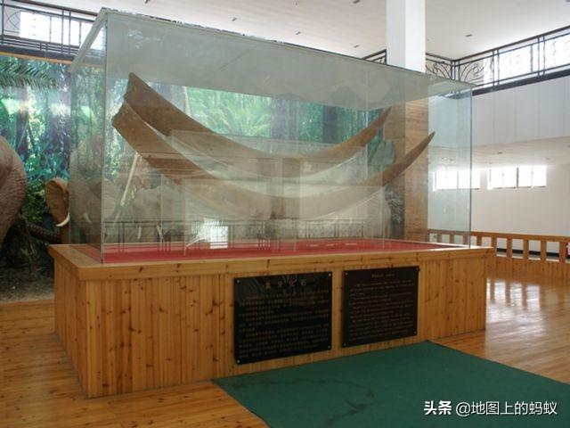 百科 第123页